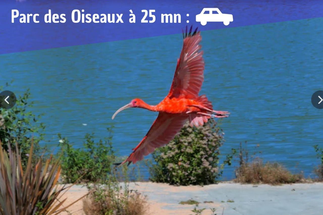 L'ambre - 1 A 4p - Wifi Fibre - Parking Gratuit *