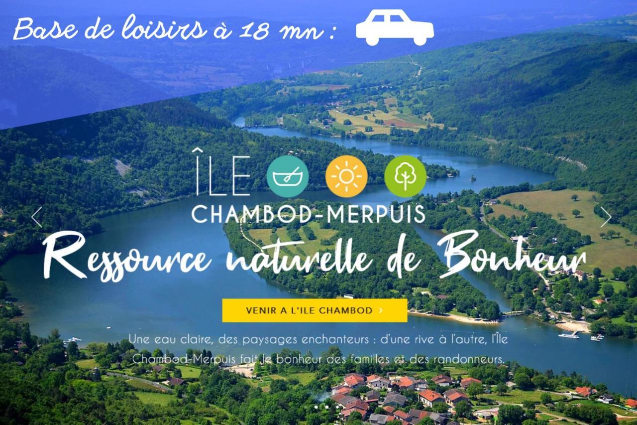 L'ambre - 1 A 4p - Wifi Fibre - Parking Gratuit * Pont-d'Ain