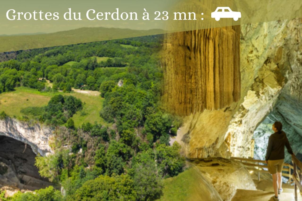 L'ambre - 1 A 4p - Wifi Fibre - Parking Gratuit Apartment